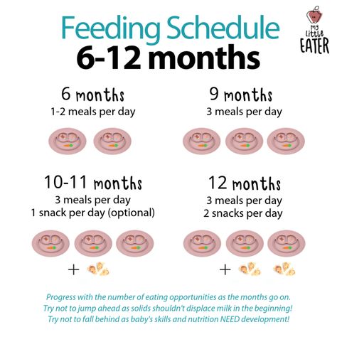 Feeding Schedules (6-12 months) - My Little Eater - Feel confident raising healthy little eaters Baby Led Weaning Recipes 6 Months, Baby Food Guide, Baby Led Weaning First Foods, Baby Solid Food, Weaning Foods, Baby Led Feeding, Breastfeeding Baby, Eating Schedule, Baby Feeding Schedule