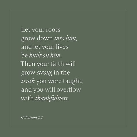 Let Your Roots Grow Down Into Him, Rooted Bible Verse, Letterboard Scripture, Grow Bible Verse, Scripture About Growing In Faith, Growing Bible Verse, Rooted In Faith, Colossians 2:7, Nlt Bible Quotes