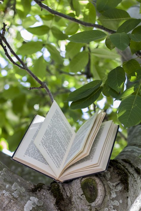 Book Aesthetic Outdoors, Book Nature Photography, Book In Nature Aesthetic, Outdoor Book Photography, Book Poses Photography, Sage Books, Book Forest, Book Nature, Bookstagram Ideas