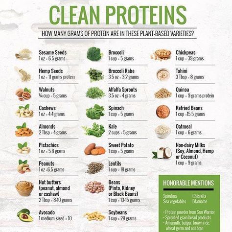 How many grams of protein are in your favorite plant-foods? Clean Nutrition, Protein Foods List, Clean Protein, Vegetarian Protein, Resep Diet, Vegan Nutrition, Diet Vegetarian, Clean Food, Plant Based Eating