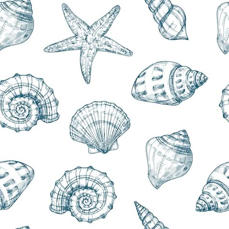 Marine Illustration Ocean, Wallpaper Seashells, Sea Shell Drawing, Ocean Vector, Seashell Drawing, Nautical Background, Shell Drawing, Grass Drawing, Ocean Texture