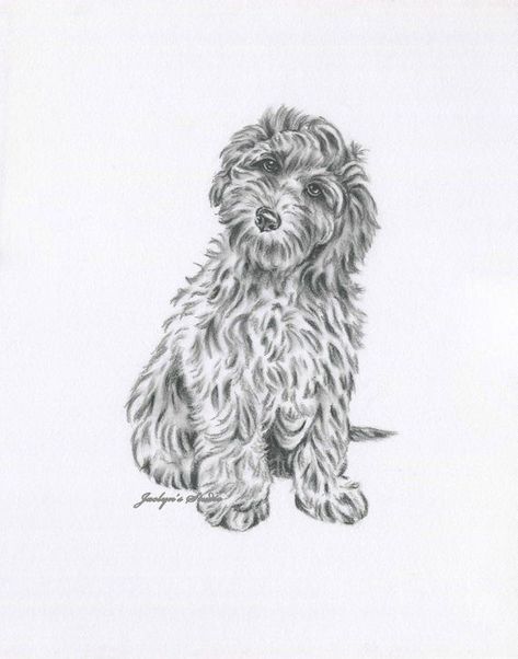 Goldendoodle Art, Labradoodle Art, ORIGINAL goldendoodle Sketch, 11x14" Dog Art, Dog Drawing, Dog Sketch, golden doodle Gift, Doodle Decor | Goldendoodle art, Labradoodle art, Dog drawing Labradoodle Tattoo, Labradoodle Drawing, Dog Sketching, Labradoodle Art, Goldendoodle Art, Small Drawing Room Interior, Small Drawing Room, Doodle Dogs, Labradoodle Dogs