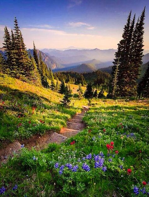 Washington Travel, Mount Rainier National Park, Beautiful Places To Visit, Belleza Natural, In The Mountains, Places Around The World, Most Beautiful Places, Washington State, Amazing Nature