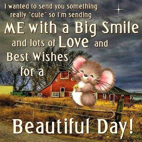 Good Morning Hug, Daily Wishes, Good Afternoon Quotes, Happy Day Quotes, Afternoon Quotes, Good Morning Happy Sunday, Cute Good Morning Images, Good Morning Sunshine Quotes, Happy Morning Quotes