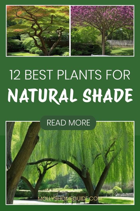 Discover the best plants to create shade in your garden with this comprehensive guide. From tropical plants for shaded areas to shade-loving perennials, these species thrive in low-light environments. Learn how to design a shady garden that combines companion plants for hostas and vining plants that create natural shade. Explore woodland garden ideas that enhance your outdoor space without sunlight. Transform your shady spaces into lush, green havens by incorporating these beautiful, easy-to-car Woodland Garden Ideas, Plants For Shaded Areas, Best Plants For Shade, Flowers That Attract Butterflies, Vining Plants, Shade Landscaping, Mimosa Tree, Shady Garden, Shade Loving Perennials