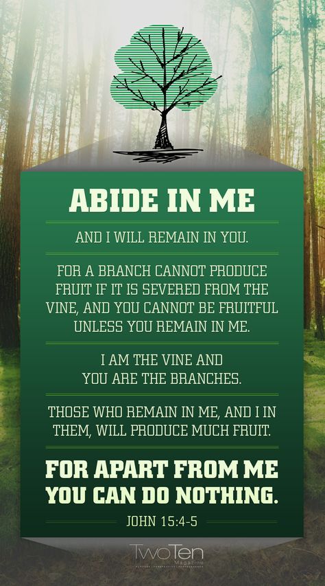 #VOTW: John 15:4-5 - "Abide in Me...For apart from Me, you can do nothing. Abide In Me, John 15 4, Abide In Christ, John 15 5, True Vine, Gospel Message, In Christ Alone, Do Nothing, Jesus Calling