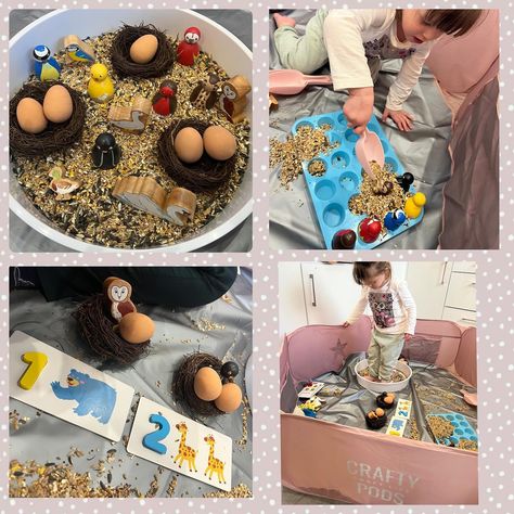 This evening we enjoyed a little bird themed sensory tray with a little bit of counting as our focus. I used bird seed as our sensory base, our Lanka Kade birds and our beautiful bird pegs from @sarahspegs (use code Sarah10) for 10% off. My little girl enjoyed scooping and pouring the bird seed into some ice cube trays pretending to feed the birds and we also practised a bit of counting/ number recognition with our nests and eggs by counting whether each nest had one or two eggs in. We ha... Sensory Tray, Feed The Birds, Counting Numbers, Ice Cube Trays, Number Recognition, Beautiful Bird, Bird Seed, Play Ideas, Autumn Activities