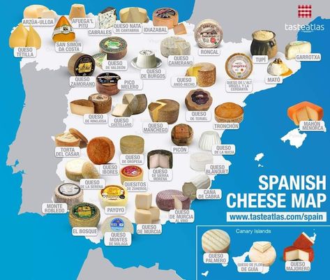 What is your favorite Spanish cheese? Islander Food, Cheese Types, Spanish Cheese, Spain Food, Global Cuisine, Types Of Cheese, Spanish Food, What Is Your Favorite, How To Make Cheese