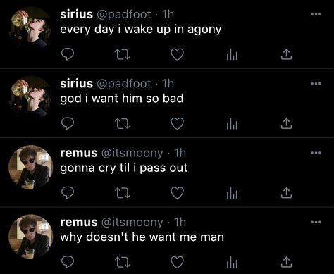 Wolfstar Tweets, Marauders Incorrect Tweets, Marauders Letters, Remus Lupin And Sirius Black, Marauders Twitter, Incorrect Tweets, Marauders Tweets, Remus And Sirius, Marauders Fan Art