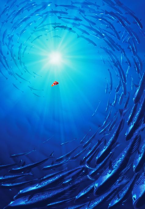 Finding Nemo Background, Finding Dory Movie Poster, Finding Nemo Poster, Nemo Wallpaper, Finding Dory Movie, Theater Tech, Nemo Movie, Finding Nemo Movie, Disney Scenes