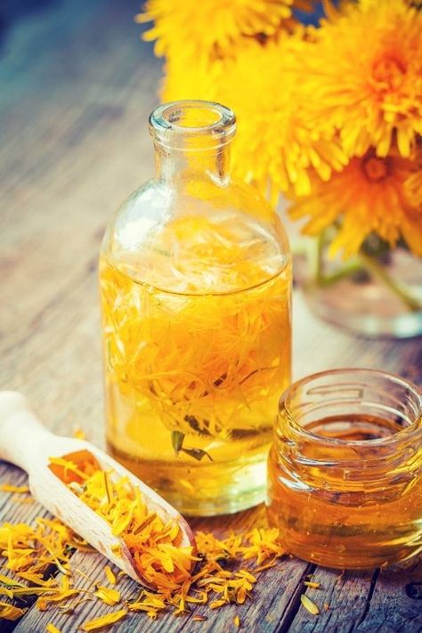 Ways to use dandelion oil for skin. Learn about the natural skin care benefits of dandelion oil plus how to use this herbal infused oil in your homemade beauty recipes, DIY skin care and natural bath and body recipes. It's easy to infuse carrier oils with plants, botanicals and herbs in order to utilize herb infused body oils for skin care. Learn four ways to infuse herbs in carrier oils plus how to use this herbal oil infusion with dandelions to make body butter, salves and lotion bar recipes. Skin Care Gift Basket Ideas, Skin Care Logo Design Ideas, Skin Care Poster Design, Skin Care Photoshoot Ideas, Skin Care Logo Design, Skin Care Photoshoot, Dandelion Uses, Skin Care Video, Skin Care Poster