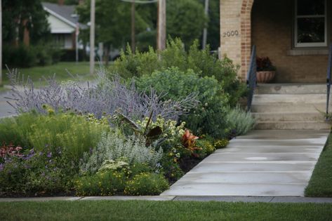 10 Ideas to Steal from Prairie-Style Gardens - Gardenista Leaves Of Grass, Perennial Grasses, Front Garden Landscape, Prairie Garden, Garden Shrubs, Front Lawn, Front Yard Garden, Garden Boxes, Desert Landscaping