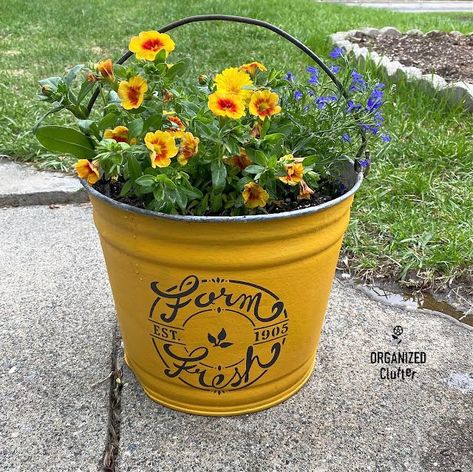 Several years ago, I white washed two buckets with watered down Rustoleum Heirloom White paint. I use the buckets for hanging baskets from my eaves. This year I decided to give the buckets a makeover. After scrubbing the buckets down with hot soapy Dawn Dish Soap water and a rag, I brushed on two coats of Bucket Makeover, Galvanized Bucket Planters, Painted Metal Buckets, Planter Makeover, Colonel Mustard, Budget Home Decor, Bucket Planters, Galvanized Buckets, Tree Stencil