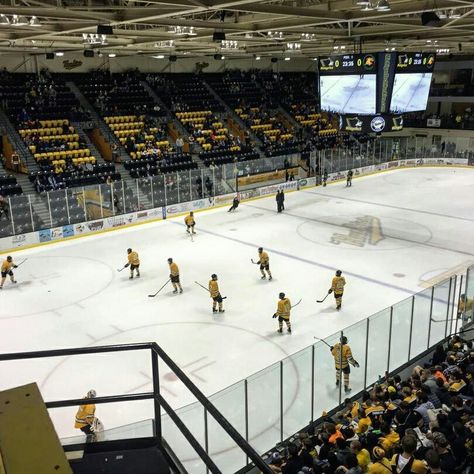 Michigan Tech Hockey Michigan Hockey, Winter Semester, Michigan Tech, Hockey Fans, Hockey Rink, Hockey, Michigan, Vision Board, Fan