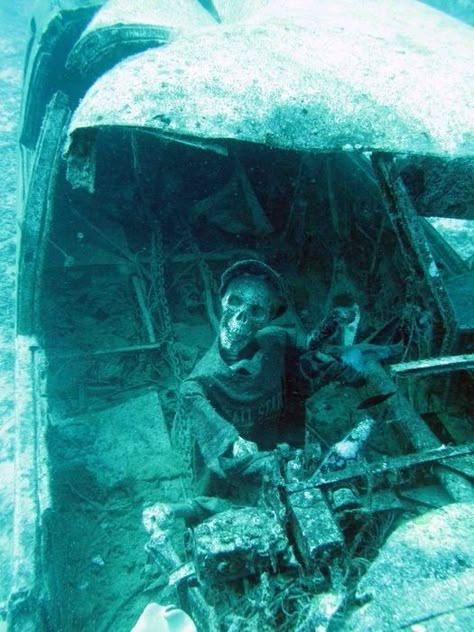 oh, I really want to meet this guy soo handsome :)) Airplane wreckage underwater Underwater Ruins, Ship Wrecks, Underwater Photos, Shipwreck, Under Water, Underwater World, Abandoned Places, Titanic, Scuba Diving