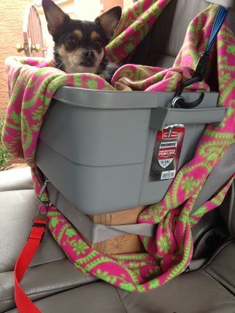 Cheap Safe Dog Car Seat : 10 Steps (with Pictures) - Instructables Small Dog Car Seat, Dog Car Booster Seat, Pet Booster Seat, Puppy Toys, Uv Tattoo, Dog Car Seat, Dog Seat, Toddler Car Seat, Car Seat Stroller