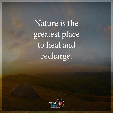 nature Healing Nature, Deal With It, Nature Quotes, Human Experience, 5 Things, Positive Energy, Great Places, The Great Outdoors, Wise Words