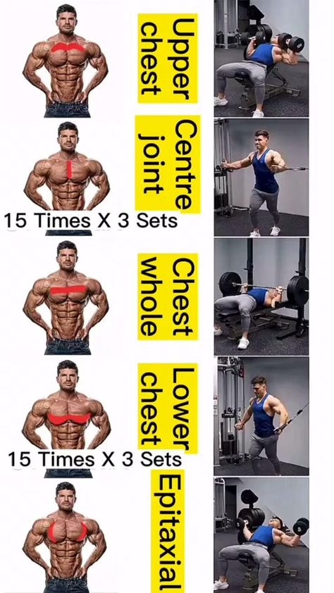 Gym Chest Workout, Chest Workout At Home, Chest Workout For Men, Chest Workout Routine, Workout Gym Routine, Gym Workout Guide, Latihan Dada, Best Chest Workout, Bodybuilding Workout Plan