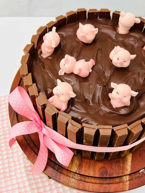 pigs in a mud bath cake Piggy Birthday Party, Pigs In Mud Cake, Pig Cake Pops, Piggy Cupcakes, Pig Birthday Theme, Piggy Cake, Farm Birthday Cakes, Pig In Mud, Pig Birthday Cakes