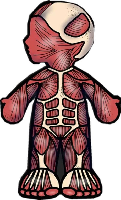 Body Image Activities, Science Tools Activities, Human Body System, Human Body Projects, Melonheadz Clipart, Human Body Activities, Body Parts Preschool, Biology Projects, Human Body Systems