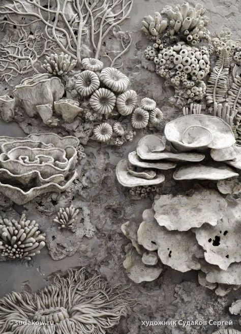 Drywall Art, Coral Sculpture, Art Coquillage, Coral Art, Ceramic Texture, Ocean Floor, Sculptures Céramiques, Tanah Liat, Keramik Design