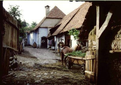 Medieval Poor Aesthetic, Medieval Farm Aesthetic, Medieval Farming Village, Poor Village Aesthetic, Medevil Village Aesthetic, Poor Town Aesthetic, Backstory Inspiration, Saxon Aesthetic, Forest Village Aesthetic