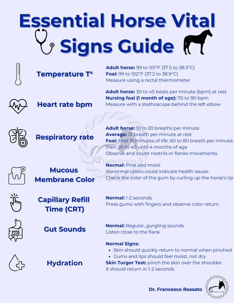 Understanding your horse’s vital signs is crucial for ensuring their health and well-being. Whether you're a seasoned horse owner, a veterinary professional, or a new equestrian enthusiast, this guide is designed to be your go-to resource for accurately monitoring and interpreting your horse's vital signs. First Time Horse Owner Checklist, Livestock Veterinarian, Equestrian Hacks, Horse Hacks, Vet Tech School, Vet Tech Student, Vet Life, Veterinary Studies, Equine Care