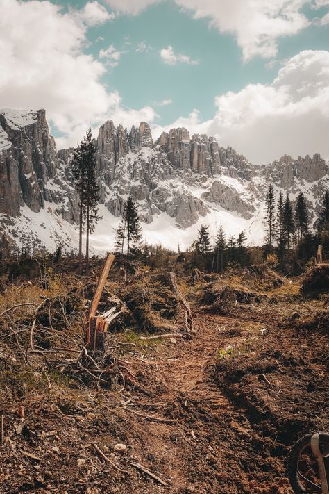 Browse Free HD Images of Deforestation At The Foot Of Mountains Deforestation Background, Deforestation Aesthetic, Deforestation Photography, Post Humanism, Mountain Background, Habitat Destruction, Art Environment, Iqbal Poetry, Snow Tree