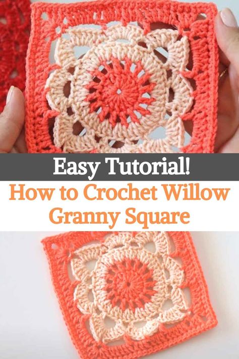 Plant Granny Square Crochet, Crochet Square Patterns Blanket, Fancy Granny Square Crochet Pattern, Beginner Granny Square Crochet Pattern, Two Color Granny Square, Fun Granny Squares, Willow Granny Square, Granny Square Patterns, Granny Square Pattern Free