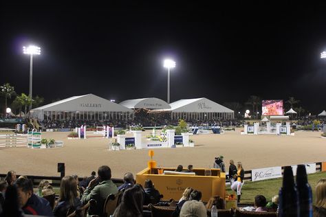 Wellington Florida Equestrian, Winter Equestrian Festival, Winter Equestrian, Goals 2024, Wellington Florida, Equestrian Center, Horse Things, Florida Style, Island Living