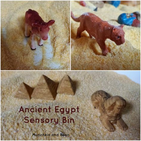 Ancient Egypt Sensory Bin Egypt Sensory Bin, Vbs 2023, Nile River, Spring Ideas, Sensory Bin, I Remember When, Sensory Bins, A Chicken, Passover