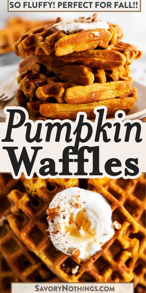 We love these soft and fluffy pumpkin waffles! My recipe makes a quick batter from scratch with an entire cup of pumpkin, eggs, flour, pumpkin spice (obviously!) and milk. The perfect treat on a crisp fall morning! | #pumpkin #waffles #pumpkinwaffles Pumpkin Waffles Without Eggs, Best Pumpkin Waffles, Pumpkin Spice Waffles Easy, Healthy Pumpkin Spice Waffles, Pumpkin Waffles Recipe Krusteaz, Homemade Pumpkin Waffles, Bisquick Pumpkin Waffles, Pumpkin Oatmeal Waffles, Pumpkin Belgian Waffles