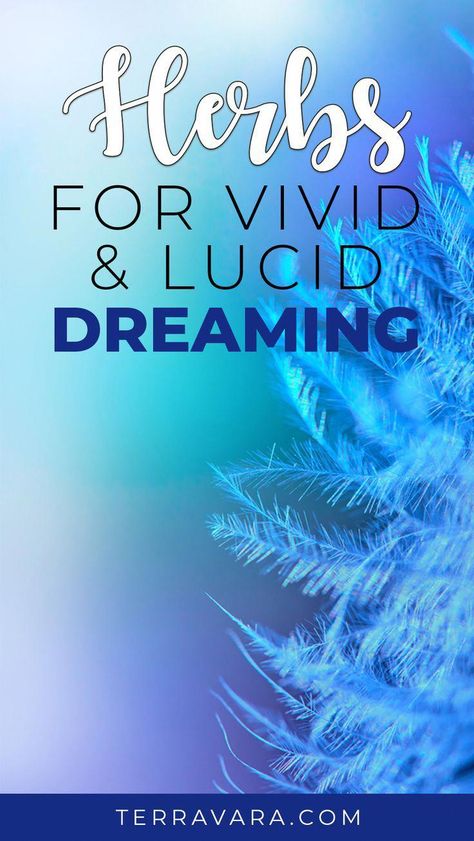 lucid dreaming meaning Smokable Herbs For Lucid Dreaming, Dream Herbs Witchcraft, Lucid Dreaming Witchcraft, Vivid Dreams Art, Lucid Dreaming Herbs, Herbs For Lucid Dreaming, Herbs For Dreaming, Herbalist Medicine, Lucid Dream Aesthetic