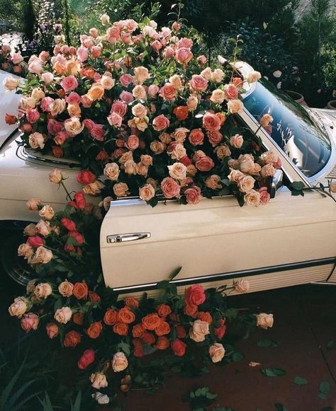 Flower Car, Bridal Musings, Pink Moon, The Embrace, Arte Floral, New Print, Film Photography, Blue Bird, Flower Power