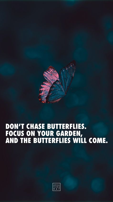 Quote, poster, blue, motivation, butterfly, arkarios07 Dont Waste Your Time Chasing Butterflies, Don't Chase Butterflies, Chasing Butterflies Quotes, Dont Chase Butterflies, Don’t Waste Your Time Chasing Butterflies, Quotes With Butterfly Background, If You Spend Time Chasing Butterflies, Quote Back Tattoo, Butterfly Aesthetic Quotes