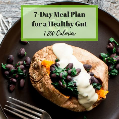 Healthy Gut Meals, Gut Health Meal Plan, Vegan Gut Health, Healthy Gut Foods, Gut Healthy Meals, Healthy Gut Diet, Gut Foods, Gut Food, Gut Healthy Recipes