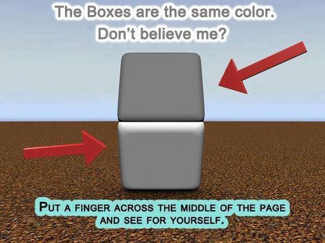 this a illusion and mind trick of the brain the brain thinks the squares r two diff colors cuz the angle and background difference of the two squares Color Optical Illusions, Amazing Optical Illusions, Friday Pictures, Eye Tricks, Cool Illusions, Cool Optical Illusions, Visual Illusion, Brain Tricks, Mind Tricks