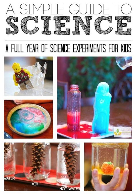 Simple Science Guide for a Year of Science Experiments for Kids | Love this resource for Kindergarten through primary grades! So many tips and ideas! Experiments For Kids Easy, Elementary Science Experiments, Martha Argerich, Science Experiments For Kids, Experiments For Kids, Simple Science, Primary Science, Kid Experiments, Easy Science Experiments