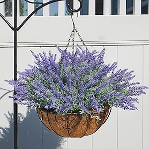 Winter hanging baskets