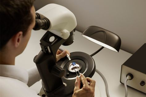 A sapphire is examined beneath a microscope at the Gübelin Gem Lab Simplistic Jewelry, Katerina Perez, Blood Ruby, Buying An Engagement Ring, Gem Diamonds, Jewelry Catalog, Colored Gems, Exclusive Jewelry, Jewelry Companies