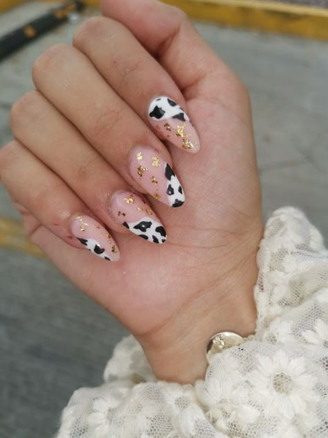 Cow Print Nails, Nail Practice, Blue Ombre Nails, Summer Gel Nails, Cow Nails, Barn Dance, Almond Shape Nails, Print Nails, Almond Nail