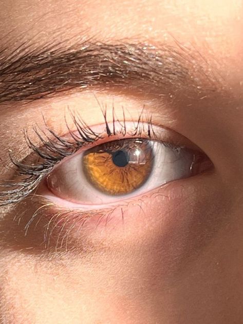 Golden Eyes Aesthetic, Brown Eye Aesthetic, Honey Brown Eyes, Golden Brown Eyes, Hazel Brown Eyes, Light Brown Eyes, Eye Aesthetic, Honey Eyes, Brown Eyes Aesthetic