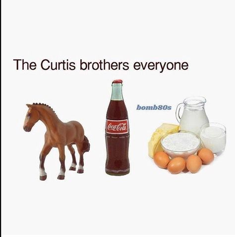 Curtis Brothers, The Outsiders Quotes, The Outsiders Ponyboy, Greaser Girl, The Outsiders Imagines, Outsiders Movie, The Outsiders Cast, The Outsiders Greasers, Dallas Winston