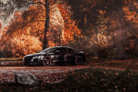 Autumn Fall Car Photoshoot, Fall Car Photography, Car Nature Photography, Fall Car Wallpaper, His And Hers Cars, Car Autumn Photography, Autumn Horse Photography, Fall Shoot, Winter Photoshoot