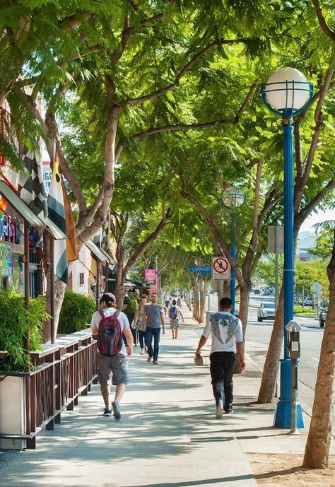 Walkable Community, Urban Zone, Walkable City, State Of California, Urban Tree, Street Trees, Urban Center, Walking Street, Business District