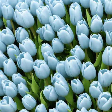 Blue Aesthetic Flowers, Blue Vibes Aesthetic, Turquoise Blue Aesthetic, Blue Tulips Aesthetic, Blue Flower Aesthetic, Blue Tulips Aesthetic Drawing, Light Blue Tulips Aesthetic Wallpaper, Blue Tulips Wallpaper, Light Blue Tulips