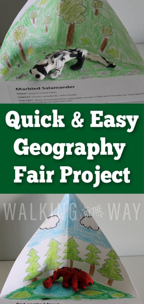 Quick and Easy Geography Fair Project - Walking by the Way Geography Project Middle School, Geography Fair Ideas, 2nd Grade Country Project, Geography Project Ideas, Fun Geography Lessons, Landform Projects For Kids 2nd Grade, North America Geography, Elementary Us Geography, Interest Led Learning