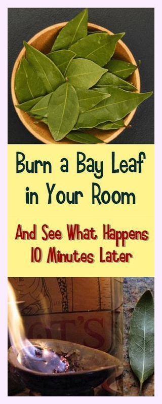 You shouldn’t have. Awe-inspiring facts! Burn Bay Leaves, Bay Laurel Tree, Burning Bay Leaves, Deep Relaxation, Bay Leaves, Mindfulness Practice, 10 Minute, Guided Meditation, Natural Remedies