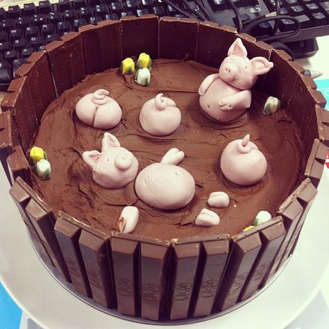 swimming pigs in mud. best chocolate cake ever! Pigs In The Mud, Pig Cake, Mud Cake, Best Chocolate Cake, Themed Birthday Cakes, Homemade Cakes, Beautiful Cakes, How To Make Cake, Pigs