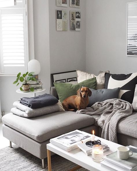 Cosy living area with L-shaped sofa and plenty of blankets Grey Painted Kitchen, Light Gray Sofas, Door Painting, Grey Corner Sofa, Paint Collection, Inflatable Furniture, Grey Sofa, Neutral Paint Color, Cosy Living